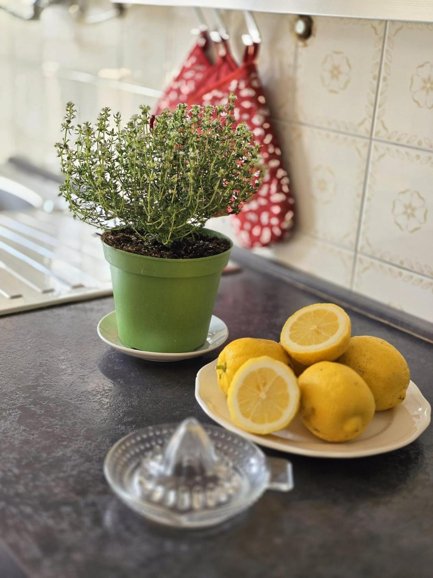 Aureum Loft Ρώμη Εξωτερικό φωτογραφία